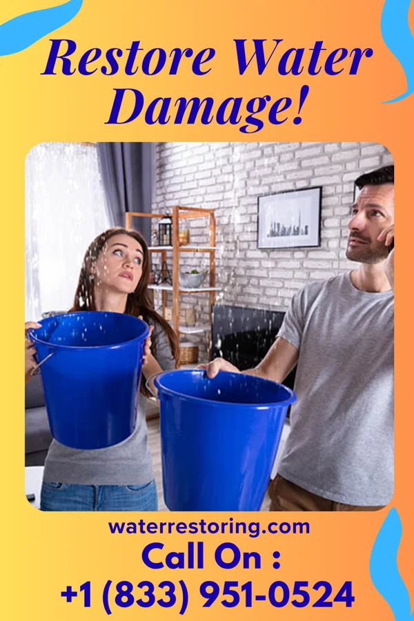 water restoration Direct Restoration Solutions Professionals Buchanan Lake Village