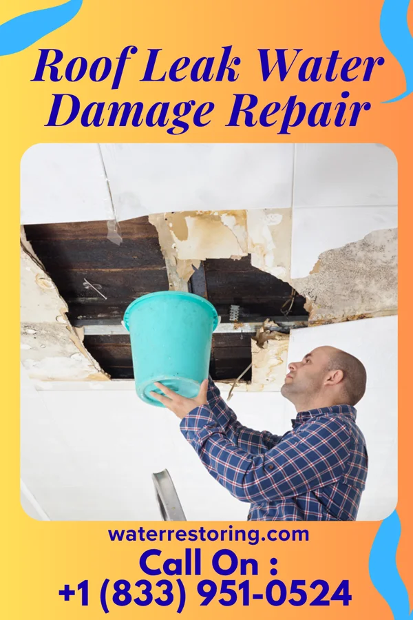 Roof Leak Water Damage Repair in Buchanan Lake Village, TX