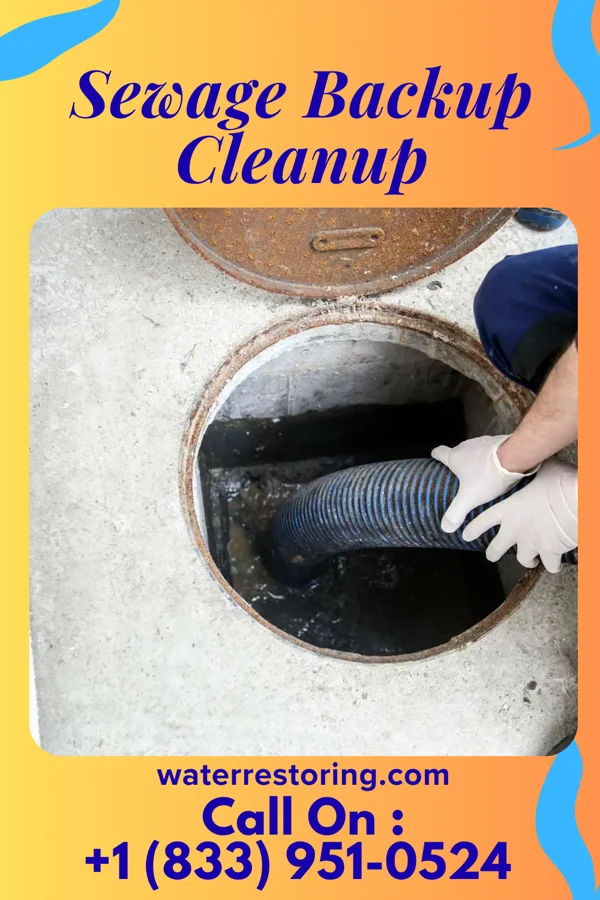 Sewage Backup Cleanup in Buchanan Lake Village, TX