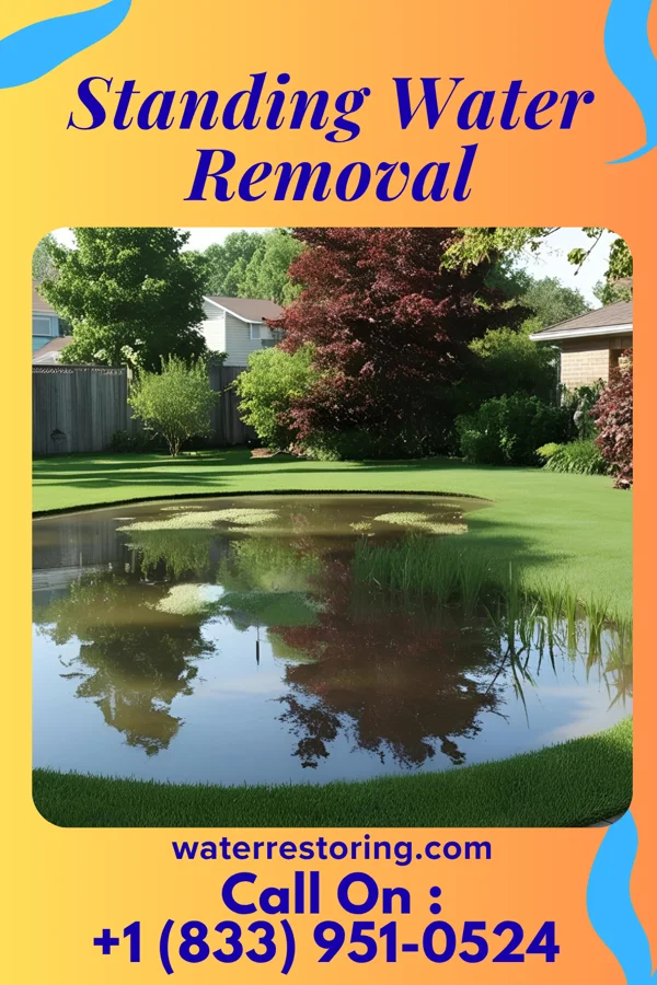 Standing Water Removal in Buchanan Lake Village, TX